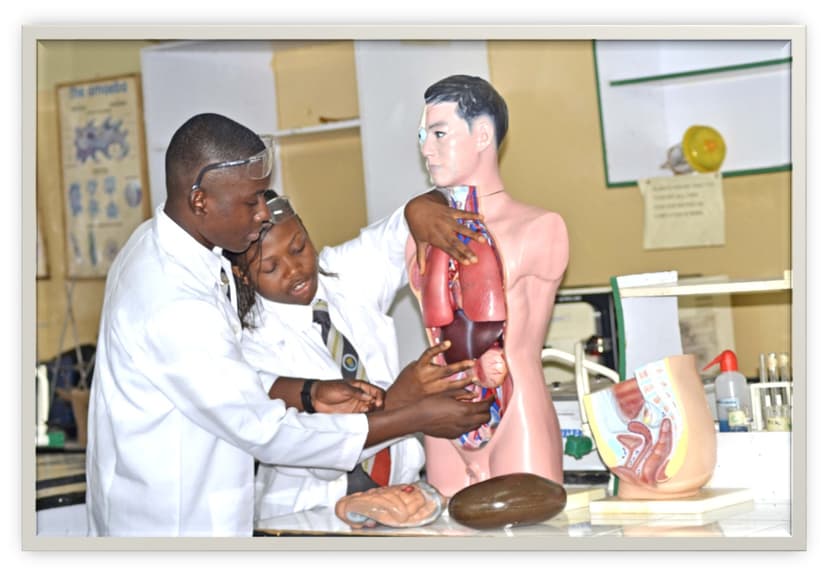 SENIOR SECONDARY SCHOOL